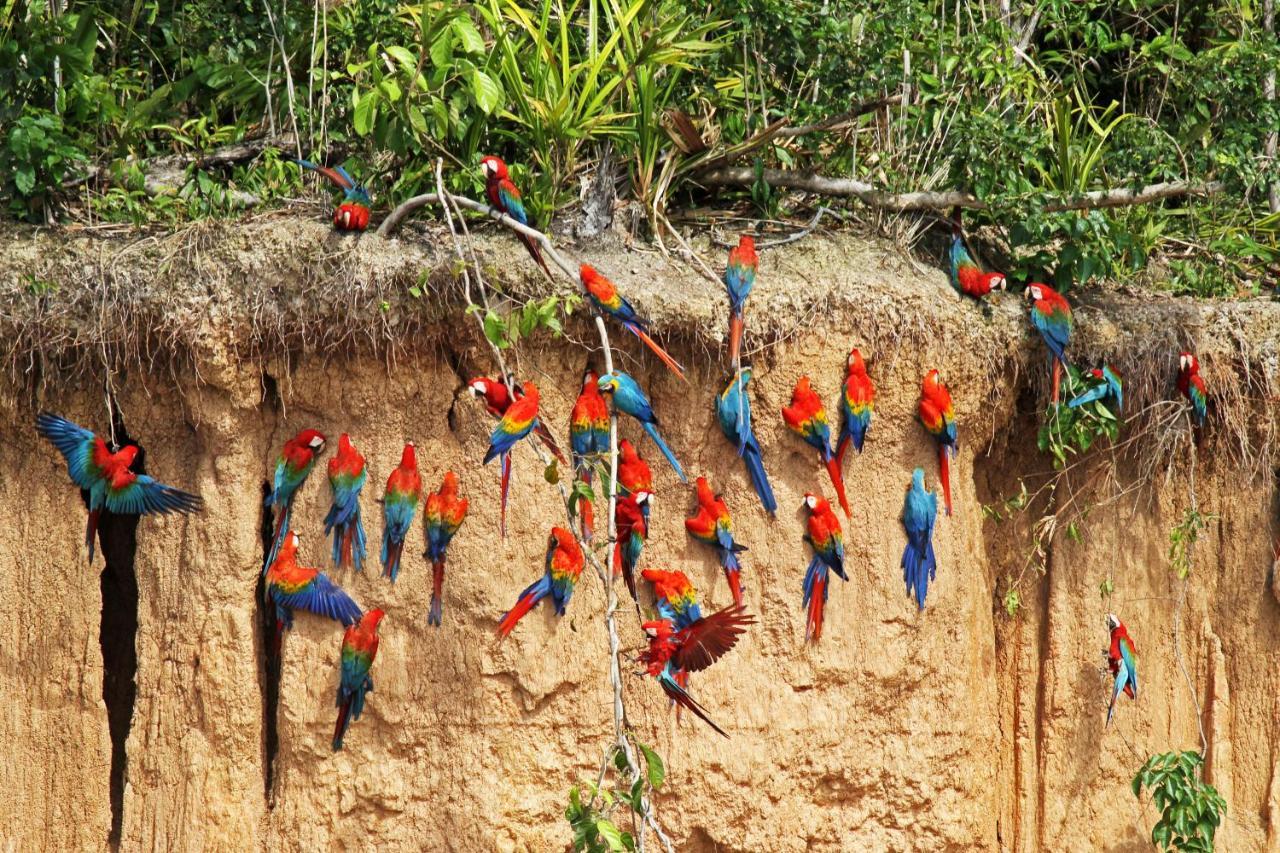 Wasai Tambopata Lodge Eksteriør billede
