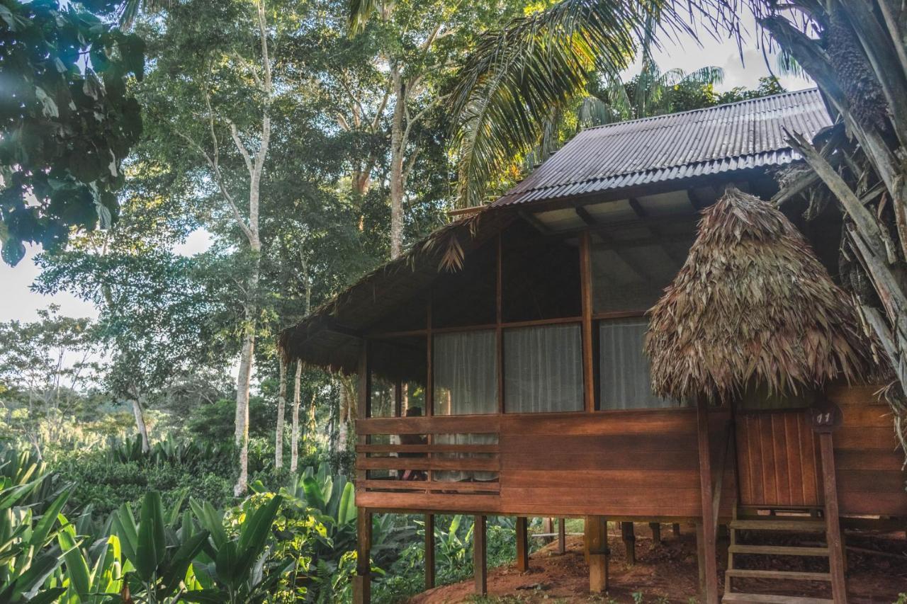 Wasai Tambopata Lodge Eksteriør billede