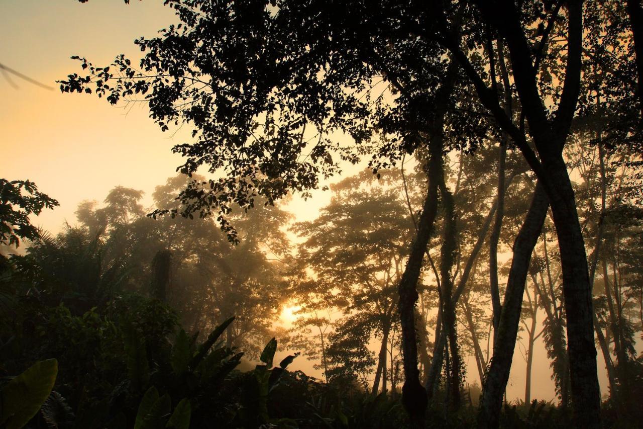 Wasai Tambopata Lodge Eksteriør billede